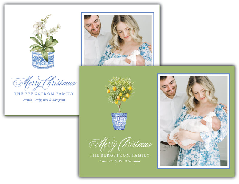 Botanical Collection Holiday Card
