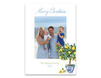 Holiday Card: Lemon Tree