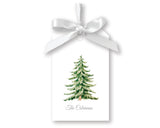 Evergreen Gift Tags, Set of 20