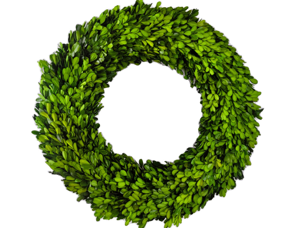 Boxwood Preserved 20” Wreath