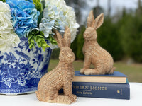 Natural Bunnies, Set of 2